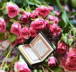 Online Quran school tutor